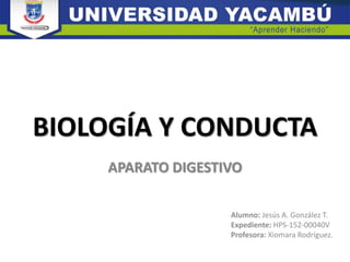 BIOLOGÍA Y CONDUCTA
APARATO DIGESTIVO
Alumno: Jesús A. González T.
Expediente: HPS-152-00040V
Profesora: Xiomara Rodríguez.
 