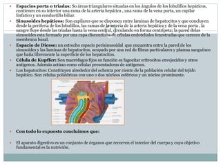  Espacios porta o triadas: So áreas triangulares situadas en los ángulos de los lobulillos hepáticos,
contienen en su interior una rama de la arteria hepática , una rama de la vena porta, un capilar
linfatico y un conductillo biliar.
 Sinusoides hepáticos: Son capilares que se disponen entre laminas de hepatocitos y que concluyen
desde la periferia de los lobulillos, las ramas de la arteria de la arteria hepática y de la vena porta , la
sangre fluye desde las triadas hasta la vena central, circulando en forma centrípeta; la pared delas
sinusoides esta formado por una capa discontinua de células endoteliales fenestradas que carecen de la
membrana basal.
 Espacio de Diesse: un estrecho espacio perisinusoidal que encuentra entre la pared de los
sinusoides y las laminas de hepatocitos, ocupado por una red de fibras particulares y plasma sanguíneo
que baña libremente la superficie de los hepatocitos.
 Célula de Kupffer: Son macrófagos fijos su función es fagocitar eritrocitos envejecidos y otros
antígenos. Además actúan como células presentadoras de antígenos.
 Los hepatocitos: Constituyen alrededor del ochenta por ciento de la población celular del tejido
hepático. Son células poliédricas con uno o dos núcleos esféricos y un núcleo prominente.
 Con todo lo expuesto concluimos que:
 El aparato digestivo es un conjunto de órganos que recorren el interior del cuerpo y cuyo objetivo
fundamental es la nutrición.
 