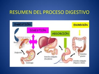 EXCRECIÓN
RESUMEN DEL PROCESO DIGESTIVO
 