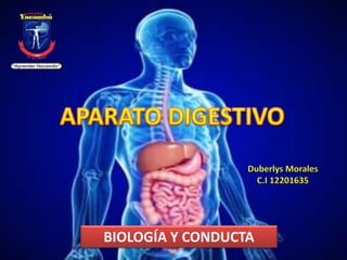 BIOLOGÍA Y CONDUCTA
Duberlys Morales
C.I 12201635
 