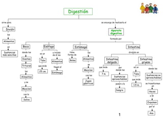 1
Digestión
sirve para
Dividir
los
Alimentos
en
Sustancias
más sencillas
se encarga de realizarla el
Aparato
digestivo
formado por
Boca
donde los
los
Alimentos
Dientes
Trituran
y se
con la
Saliva
Mezclan
Esófago
es un
que mide
25 cm.
Tubo
a través
de él los
llegan al
Estómago
Alimentos
Estómago
tiene
forma de
Bolsa
los
se
Mezclan
Alimentos
con los
Jugos
gástricos
Intestino
dividido en
Intestino
delgado
Intestino
grueso
que mide
7 m.
por
donde las
Sustancias
aprovechables
pasan a la
Sangre
es un
que mide
1,5 m.
Tubo
donde las
Sustancias no
aprovechables
se transforman
en
Heces
y se
Expulsan
por el
Ano
 