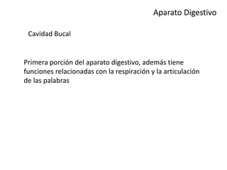 Aparato Digestivo
Cavidad Bucal
Primera porción del aparato digestivo, además tiene
funciones relacionadas con la respiración y la articulación
de las palabras
 