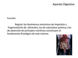 Aparato Digestivo
Función
Regular los fenómenos mecánicos de impulsión y
fragmentación de alimentos, los de naturaleza química y los
de absorción de principios nutritivos constituyen el
fundamento fisiológico de este sistema
 