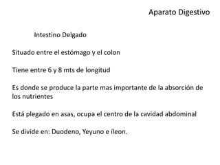 Aparato Digestivo
Intestino Delgado
Situado entre el estómago y el colon
Tiene entre 6 y 8 mts de longitud
Es donde se produce la parte mas importante de la absorción de
los nutrientes
Está plegado en asas, ocupa el centro de la cavidad abdominal
Se divide en: Duodeno, Yeyuno e íleon.
 