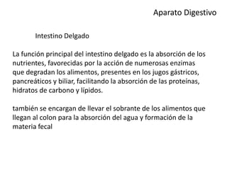 Aparato Digestivo
Intestino Delgado
La función principal del intestino delgado es la absorción de los
nutrientes, favorecidas por la acción de numerosas enzimas
que degradan los alimentos, presentes en los jugos gástricos,
pancreáticos y biliar, facilitando la absorción de las proteínas,
hidratos de carbono y lípidos.
también se encargan de llevar el sobrante de los alimentos que
llegan al colon para la absorción del agua y formación de la
materia fecal
 