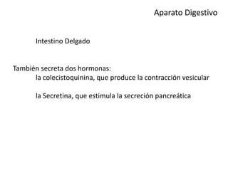 Aparato Digestivo
Intestino Delgado
También secreta dos hormonas:
la colecistoquinina, que produce la contracción vesicular
la Secretina, que estimula la secreción pancreática
 