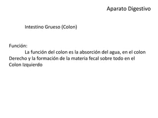 Aparato Digestivo
Intestino Grueso (Colon)
Función:
La función del colon es la absorción del agua, en el colon
Derecho y la formación de la materia fecal sobre todo en el
Colon Izquierdo
 