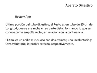 Aparato Digestivo
Recto y Ano
Última porción del tubo digestivo, el Recto es un tubo de 15 cm de
Longitud, que se ensancha en su parte distal, formando lo que se
conoce como ampolla rectal, en relación con la continencia.
El Ano, es un anillo musculoso con dos esfínter, uno involuntario y
Otro voluntario, interno y externo, respectivamente.
 