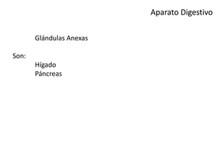 Aparato Digestivo
Glándulas Anexas
Son:
Hígado
Páncreas
 