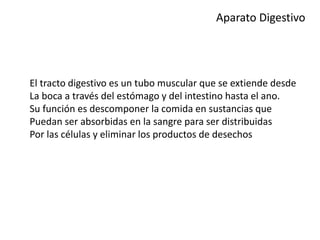 Aparato Digestivo
El tracto digestivo es un tubo muscular que se extiende desde
La boca a través del estómago y del intestino hasta el ano.
Su función es descomponer la comida en sustancias que
Puedan ser absorbidas en la sangre para ser distribuidas
Por las células y eliminar los productos de desechos
 