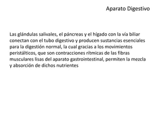 Aparato Digestivo
Las glándulas salivales, el páncreas y el hígado con la vía biliar
conectan con el tubo digestivo y producen sustancias esenciales
para la digestión normal, la cual gracias a los movimientos
peristálticos, que son contracciones rítmicas de las fibras
musculares lisas del aparato gastrointestinal, permiten la mezcla
y absorción de dichos nutrientes
 