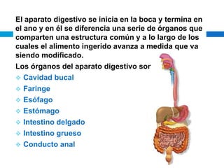 El aparato digestivo se inicia en la boca y termina en
el ano y en él se diferencia una serie de órganos que
comparten una estructura común y a lo largo de los
cuales el alimento ingerido avanza a medida que va
siendo modificado.
Los órganos del aparato digestivo son:
 Cavidad bucal
 Faringe
 Esófago
 Estómago
 Intestino delgado
 Intestino grueso
 Conducto anal
 