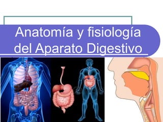 Anatomía y fisiología
del Aparato Digestivo
 