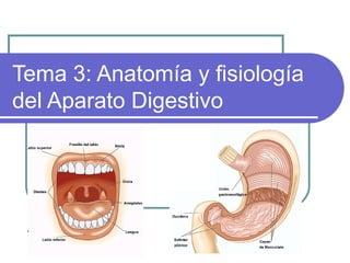 Tema 3: Anatomía y fisiología
del Aparato Digestivo
 