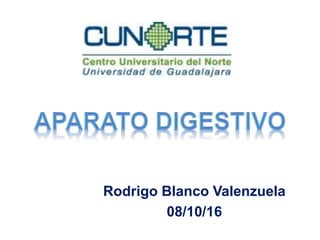 Rodrigo Blanco Valenzuela
08/10/16
 