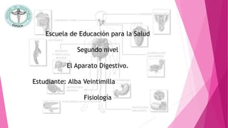 Escuela de Educación para la Salud
Segundo nivel
El Aparato Digestivo.
Estudiante: Alba Veintimilla
Fisiología
 