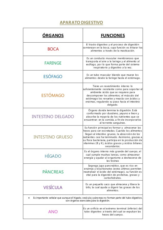 Sistema de organos y sus funciones