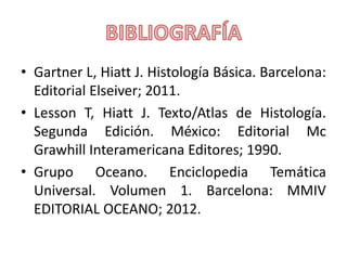 • Gartner L, Hiatt J. Histología Básica. Barcelona:
Editorial Elseiver; 2011.
• Lesson T, Hiatt J. Texto/Atlas de Histología.
Segunda Edición. México: Editorial Mc
Grawhill Interamericana Editores; 1990.
• Grupo Oceano. Enciclopedia Temática
Universal. Volumen 1. Barcelona: MMIV
EDITORIAL OCEANO; 2012.
 