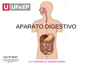 APARATO DIGESTIVO
C.D. CONSTANZA M. SÁNCHEZ GUERRA
http://www.facmed.unam.mx/dept
os/biocetis/atlas2013A/digestivo7/
digestivo.html
Liga de apoyo
 