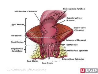C.D. CONSTANZA M. SÁNCHEZ GUERRA
 