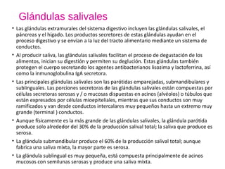 Glándulas salivales
• Las glándulas extramurales del sistema digestivo incluyen las glándulas salivales, el
páncreas y el hígado. Los productos secretores de estas glándulas ayudan en el
proceso digestivo y se envían a la luz del tracto alimentario mediante un sistema de
conductos.
• Al producir saliva, las glándulas salivales facilitan el proceso de degustación de los
alimentos, inician su digestión y permiten su deglución. Estas glándulas también
protegen el cuerpo secretando los agentes antibacterianos lisozima y lactoferrina, así
como la inmunoglobulina IgA secretora.
• Las principales glándulas salivales son las parótidas emparejadas, submandibulares y
sublinguales. Las porciones secretoras de las glándulas salivales están compuestas por
células secretoras serosas y / o mucosas dispuestas en acinos (alvéolos) o túbulos que
están expresados por células mioepiteliales, mientras que sus conductos son muy​​
ramificados y van desde conductos intercalares muy pequeños hasta un extremo muy
grande (terminal ) conductos.
• Aunque físicamente es la más grande de las glándulas salivales, la glándula parótida
produce solo alrededor del 30% de la producción salival total; la saliva que produce es
serosa.
• La glándula submandibular produce el 60% de la producción salival total; aunque
fabrica una saliva mixta, la mayor parte es serosa.
• La glándula sublingual es muy pequeña, está compuesta principalmente de acinos
mucosos con semilunas serosas y produce una saliva mixta.
 