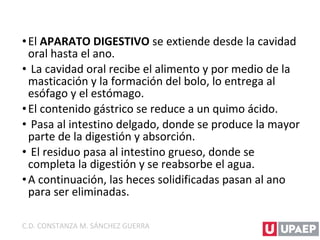 •El APARATO DIGESTIVO se extiende desde la cavidad
oral hasta el ano.
• La cavidad oral recibe el alimento y por medio de la
masticación y la formación del bolo, lo entrega al
esófago y el estómago.
•El contenido gástrico se reduce a un quimo ácido.
• Pasa al intestino delgado, donde se produce la mayor
parte de la digestión y absorción.
• El residuo pasa al intestino grueso, donde se
completa la digestión y se reabsorbe el agua.
•A continuación, las heces solidificadas pasan al ano
para ser eliminadas.
C.D. CONSTANZA M. SÁNCHEZ GUERRA
 
