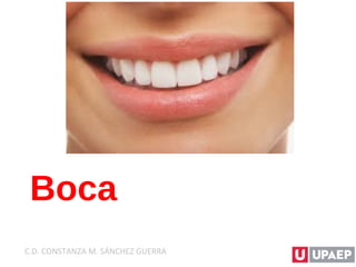 Boca
C.D. CONSTANZA M. SÁNCHEZ GUERRA
 