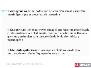 C.D. CONSTANZA M. SÁNCHEZ GUERRA
 