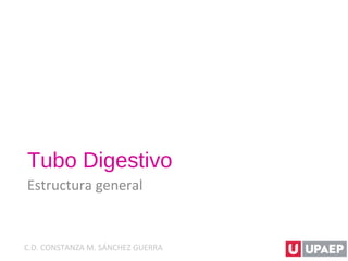 Tubo Digestivo
Estructura general
C.D. CONSTANZA M. SÁNCHEZ GUERRA
 