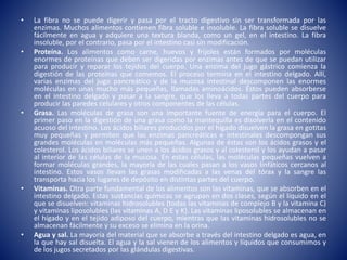 • La fibra no se puede digerir y pasa por el tracto digestivo sin ser transformada por las
enzimas. Muchos alimentos contienen fibra soluble e insoluble. La fibra soluble se disuelve
fácilmente en agua y adquiere una textura blanda, como un gel, en el intestino. La fibra
insoluble, por el contrario, pasa por el intestino casi sin modificación.
• Proteína. Los alimentos como carne, huevos y frijoles están formados por moléculas
enormes de proteínas que deben ser digeridas por enzimas antes de que se puedan utilizar
para producir y reparar los tejidos del cuerpo. Una enzima del jugo gástrico comienza la
digestión de las proteínas que comemos. El proceso termina en el intestino delgado. Allí,
varias enzimas del jugo pancreático y de la mucosa intestinal descomponen las enormes
moléculas en unas mucho más pequeñas, llamadas aminoácidos. Éstos pueden absorberse
en el intestino delgado y pasar a la sangre, que los lleva a todas partes del cuerpo para
producir las paredes celulares y otros componentes de las células.
• Grasa. Las moléculas de grasa son una importante fuente de energía para el cuerpo. El
primer paso en la digestión de una grasa como la mantequilla es disolverla en el contenido
acuoso del intestino. Los ácidos biliares producidos por el hígado disuelven la grasa en gotitas
muy pequeñas y permiten que las enzimas pancreáticas e intestinales descompongan sus
grandes moléculas en moléculas más pequeñas. Algunas de éstas son los ácidos grasos y el
colesterol. Los ácidos biliares se unen a los ácidos grasos y al colesterol y los ayudan a pasar
al interior de las células de la mucosa. En estas células, las moléculas pequeñas vuelven a
formar moléculas grandes, la mayoría de las cuales pasan a los vasos linfáticos cercanos al
intestino. Estos vasos llevan las grasas modificadas a las venas del tórax y la sangre las
transporta hacia los lugares de depósito en distintas partes del cuerpo.
• Vitaminas. Otra parte fundamental de los alimentos son las vitaminas, que se absorben en el
intestino delgado. Estas sustancias químicas se agrupan en dos clases, según el líquido en el
que se disuelven: vitaminas hidrosolubles (todas las vitaminas de complejo B y la vitamina C)
y vitaminas liposolubles (las vitaminas A, D E y K). Las vitaminas liposolubles se almacenan en
el hígado y en el tejido adiposo del cuerpo, mientras que las vitaminas hidrosolubles no se
almacenan fácilmente y su exceso se elimina en la orina.
• Agua y sal. La mayoría del material que se absorbe a través del intestino delgado es agua, en
la que hay sal disuelta. El agua y la sal vienen de los alimentos y líquidos que consumimos y
de los jugos secretados por las glándulas digestivas.
 