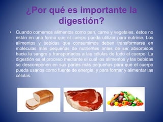 ¿Por qué es importante la
digestión?
• Cuando comemos alimentos como pan, carne y vegetales, éstos no
están en una forma que el cuerpo pueda utilizar para nutrirse. Los
alimentos y bebidas que consumimos deben transformarse en
moléculas más pequeñas de nutrientes antes de ser absorbidos
hacia la sangre y transportados a las células de todo el cuerpo. La
digestión es el proceso mediante el cual los alimentos y las bebidas
se descomponen en sus partes más pequeñas para que el cuerpo
pueda usarlos como fuente de energía, y para formar y alimentar las
células.
 