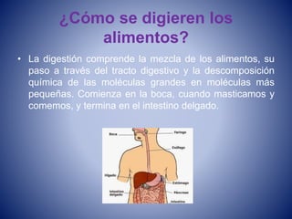 ¿Cómo se digieren los
alimentos?
• La digestión comprende la mezcla de los alimentos, su
paso a través del tracto digestivo y la descomposición
química de las moléculas grandes en moléculas más
pequeñas. Comienza en la boca, cuando masticamos y
comemos, y termina en el intestino delgado.
 