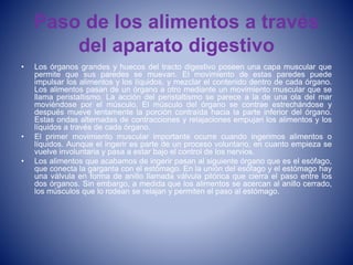 Paso de los alimentos a través
del aparato digestivo
• Los órganos grandes y huecos del tracto digestivo poseen una capa muscular que
permite que sus paredes se muevan. El movimiento de estas paredes puede
impulsar los alimentos y los líquidos, y mezclar el contenido dentro de cada órgano.
Los alimentos pasan de un órgano a otro mediante un movimiento muscular que se
llama peristaltismo. La acción del peristaltismo se parece a la de una ola del mar
moviéndose por el músculo. El músculo del órgano se contrae estrechándose y
después mueve lentamente la porción contraída hacia la parte inferior del órgano.
Estas ondas alternadas de contracciones y relajaciones empujan los alimentos y los
líquidos a través de cada órgano.
• El primer movimiento muscular importante ocurre cuando ingerimos alimentos o
líquidos. Aunque el ingerir es parte de un proceso voluntario, en cuanto empieza se
vuelve involuntaria y pasa a estar bajo el control de los nervios.
• Los alimentos que acabamos de ingerir pasan al siguiente órgano que es el esófago,
que conecta la garganta con el estómago. En la unión del esófago y el estómago hay
una válvula en forma de anillo llamada válvula pilórica que cierra el paso entre los
dos órganos. Sin embargo, a medida que los alimentos se acercan al anillo cerrado,
los músculos que lo rodean se relajan y permiten el paso al estómago.
 