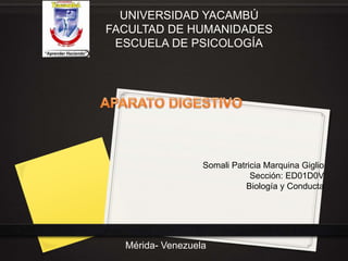 UNIVERSIDAD YACAMBÚ
FACULTAD DE HUMANIDADES
ESCUELA DE PSICOLOGÍA
Somali Patricia Marquina Giglio
Sección: ED01D0V
Biología y Conducta
Mérida- Venezuela
 