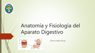 Anatomía y Fisiología del
Aparato Digestivo
Silverio Mejía Burga
 