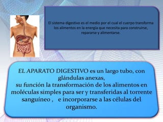 El sistema digestivo es el medio por el cual el cuerpo transforma
los alimentos en la energía que necesita para construirse,
repararse y alimentarse.
 