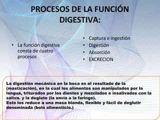 PROCESOS DE LA FUNCIÓN
DIGESTIVA:
• La función digestiva
consta de cuatro
procesos
• Captura e ingestión
• Digestión
• Absorción
• EXCRECION
La digestión mecánica en la boca es el resultado de la
(masticación), en la cual los alimentos son manipulados por la
lengua, triturados por los dientes y mezclados e insalivados con la
saliva. y la deglute (la envía a la faringe).
Esto los reduce a una masa blanda, flexible y fácil de deglutir
denominada (bolo alimenticio.)
 