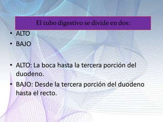 El tubo digestivo se divide en dos:
• ALTO
• BAJO
• ALTO: La boca hasta la tercera porción del
duodeno.
• BAJO: Desde la tercera porción del duodeno
hasta el recto.
 