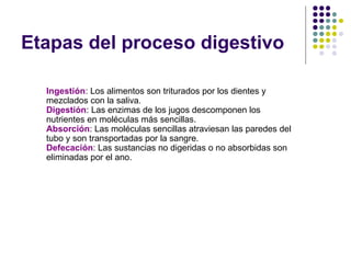 Ingestión: Los alimentos son triturados por los dientes y
mezclados con la saliva.
Digestión: Las enzimas de los jugos descomponen los
nutrientes en moléculas más sencillas.
Absorción: Las moléculas sencillas atraviesan las paredes del
tubo y son transportadas por la sangre.
Defecación: Las sustancias no digeridas o no absorbidas son
eliminadas por el ano.
Etapas del proceso digestivo
 