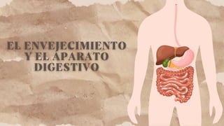 Comprehensive Overview of the Human Digestive System and Its Functions ...