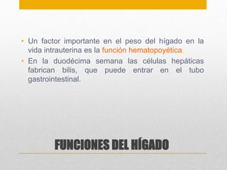 • Un factor importante en el peso del hígado en la 
vida intrauterina es la función hematopoyética. 
• En la duodécima semana las células hepáticas 
fabrican bilis, que puede entrar en el tubo 
gastrointestinal. 
FUNCIONES DEL HÍGADO 
 