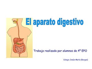 Trabajo realizado por alumnos de 4º EPO Colegio Jesús-María (Burgos) El aparato digestivo  
