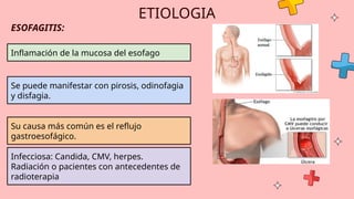 APARATODIGESTIVO APARATODIGESTIVO APARATODIGESTIV | PPTX