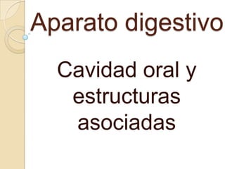 Aparato digestivo
  Cavidad oral y
   estructuras
   asociadas
 