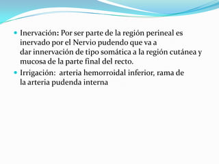 Inervación: Por ser parte de la región perineal es
  inervado por el Nervio pudendo que va a
  dar innervación de tipo somática a la región cutánea y
  mucosa de la parte final del recto.
 Irrigación: arteria hemorroidal inferior, rama de
  la arteria pudenda interna
 