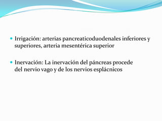  Irrigación: arterias pancreaticoduodenales inferiores y
 superiores, arteria mesentérica superior

 Inervación: La inervación del páncreas procede
 del nervio vago y de los nervios esplácnicos
 