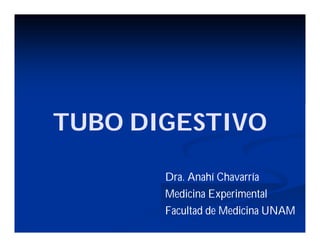TUBO DIGESTIVO
Dra. Anahí Chavarría
Medicina Experimental
Facultad de Medicina UNAM

 