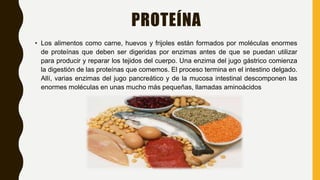 PROTEÍNA
• Los alimentos como carne, huevos y frijoles están formados por moléculas enormes
de proteínas que deben ser digeridas por enzimas antes de que se puedan utilizar
para producir y reparar los tejidos del cuerpo. Una enzima del jugo gástrico comienza
la digestión de las proteínas que comemos. El proceso termina en el intestino delgado.
Allí, varias enzimas del jugo pancreático y de la mucosa intestinal descomponen las
enormes moléculas en unas mucho más pequeñas, llamadas aminoácidos
 