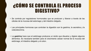 ¿CÓMO SE CONTROLA EL PROCESO
DIGESTIVO?
• Se controla por reguladores hormonales que se producen y liberan a través de las
células de la mucosa del estomago y del intestino delgado.
• Las principales hormonas que controlan la digestión son la gastrina, la secretina y la
colecistocinina.
• La gastrina hace que el estómago produzca un ácido que disuelve y digiere algunos
alimentos. Es necesaria también para el crecimiento celular normal de la mucosa del
estómago, el intestino delgado y el colon.
 