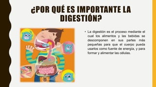 ¿POR QUÉ ES IMPORTANTE LA
DIGESTIÓN?
• La digestión es el proceso mediante el
cual los alimentos y las bebidas se
descomponen en sus partes más
pequeñas para que el cuerpo pueda
usarlos como fuente de energía, y para
formar y alimentar las células.
 